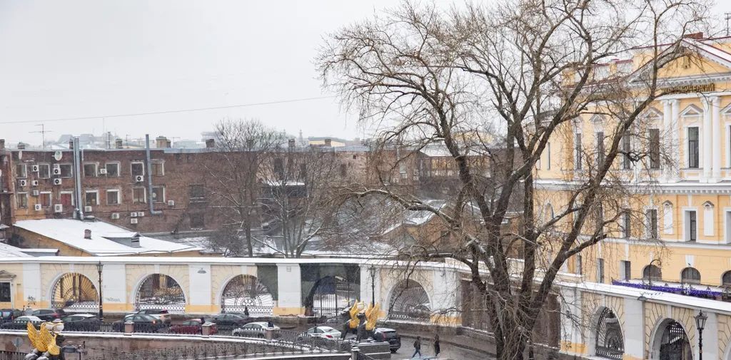 квартира г Санкт-Петербург метро Невский Проспект наб Канала Грибоедова 35 фото 9