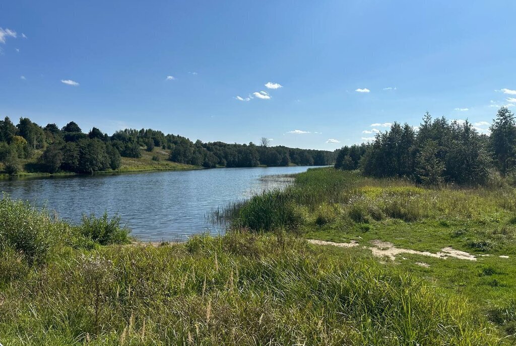 земля городской округ Клин д Тиликтино фото 11