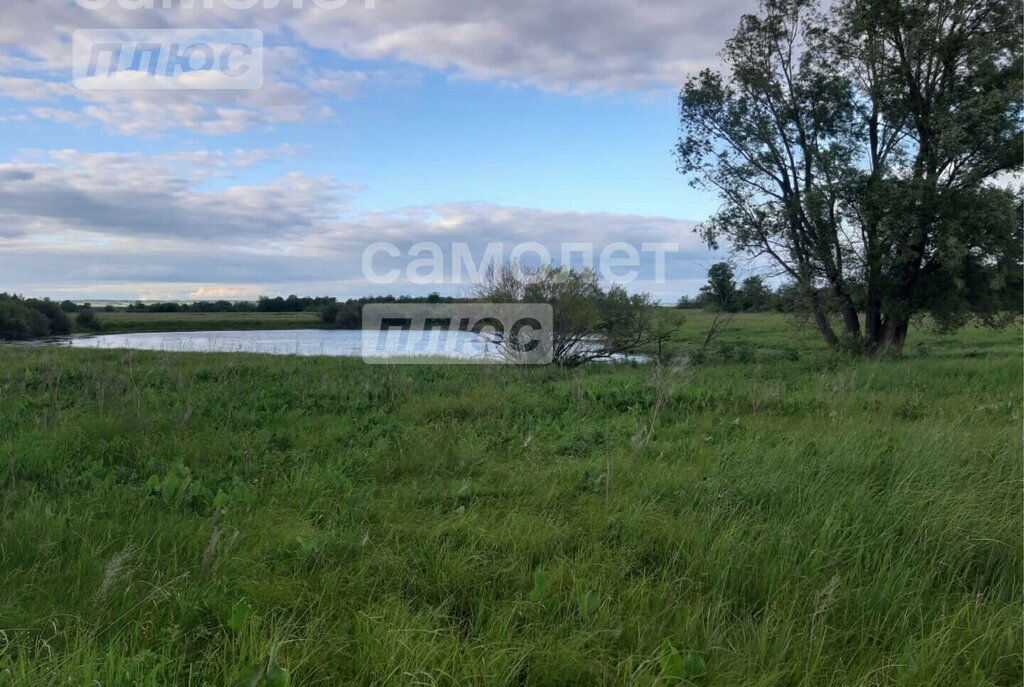 земля р-н Благовещенский д Березовка Тугайский сельсовет фото 5