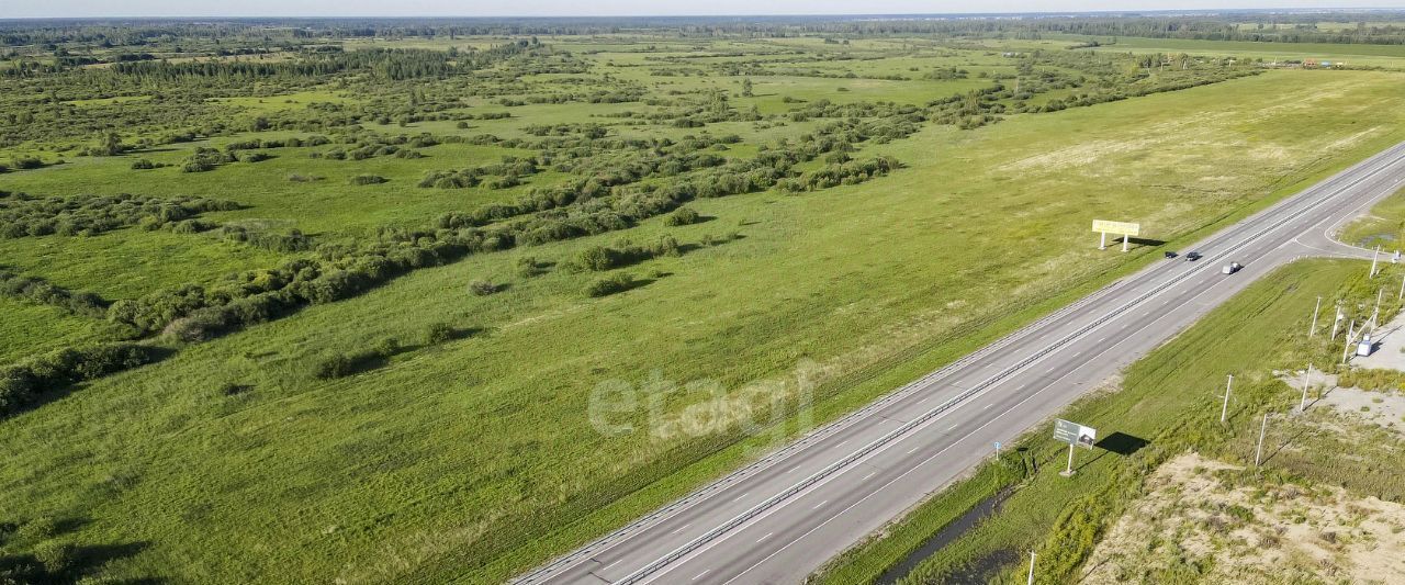 офис р-н Тюменский с Борки Каскаринское сельское поселение фото 11