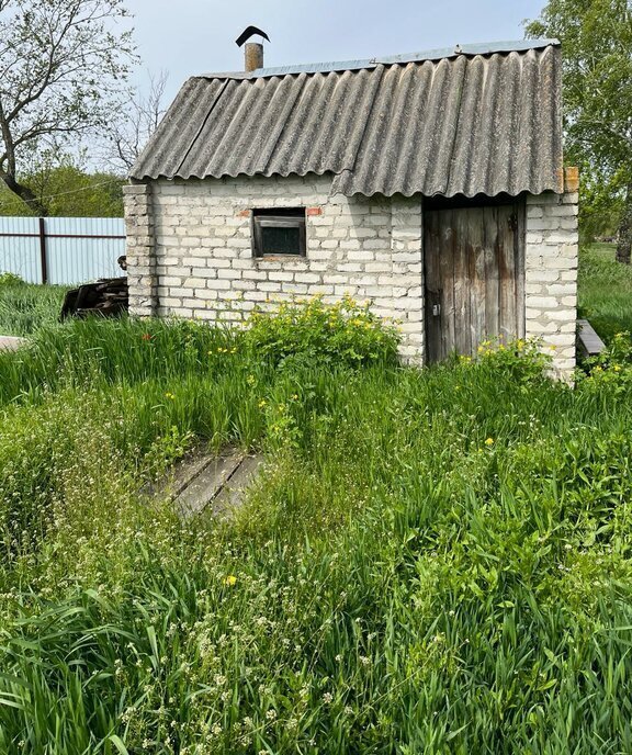 земля р-н Новоусманский с Рыкань Хреновское сельское поселение фото 11