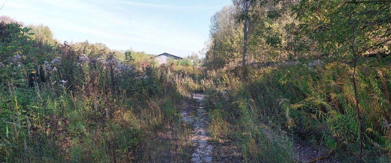 офис г Владимир р-н Фрунзенский ул Большая Нижегородская 108 фото 5