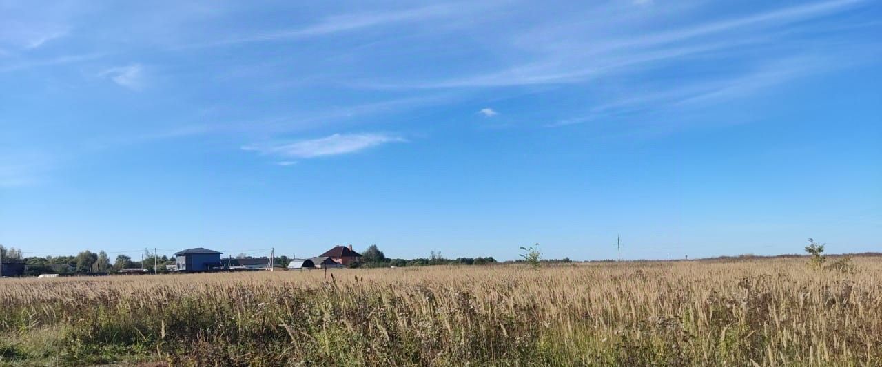 земля городской округ Богородский д Ивашево фото 2