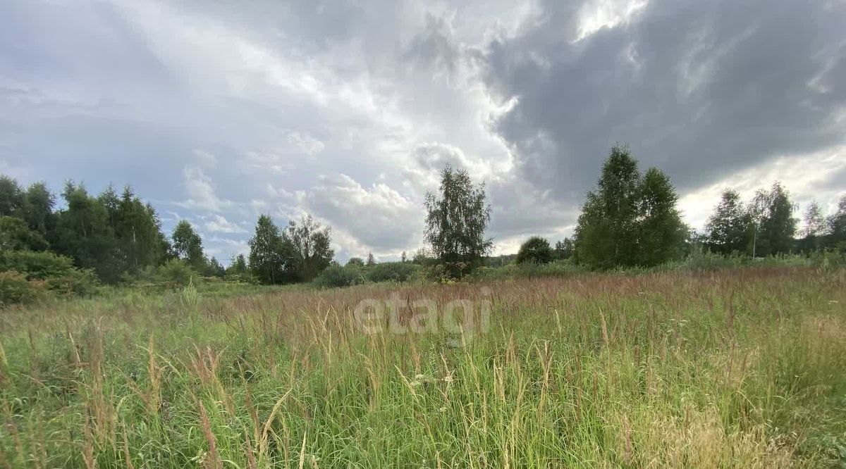 земля г Электросталь снт Дубок 169, Коломна городской округ фото 9