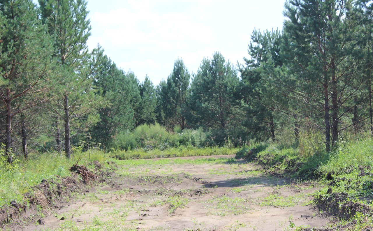 земля р-н Первомайский Санниковский сельсовет, Новоалтайск фото 6