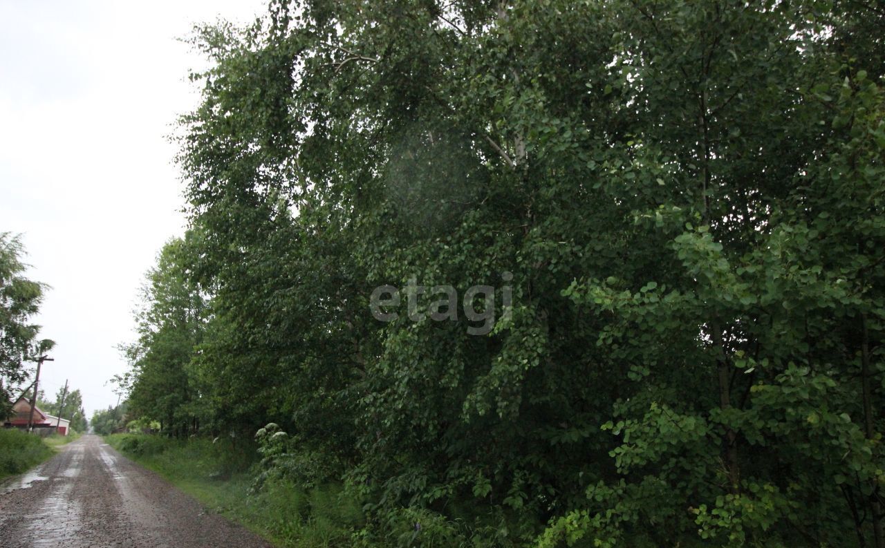 земля р-н Емельяновский с/с Элитовский сельсовет, Красноярск, садоводческое товарищество, Ручеёк фото 1