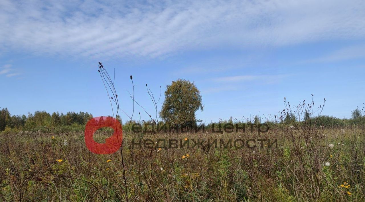 земля г Тюмень р-н Ленинский СОСН Агросад-Тюмень тер., 2-я линия, 104 фото 6