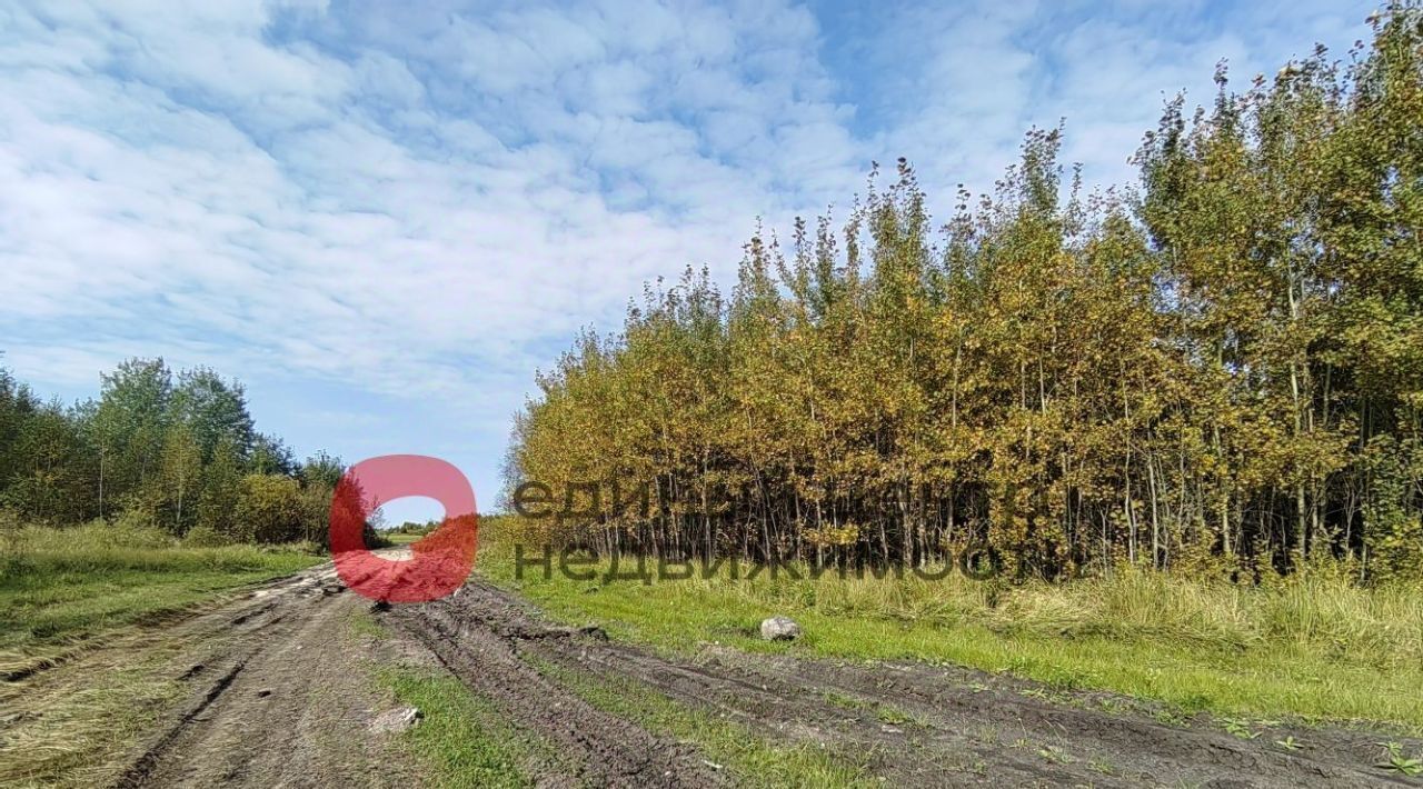 земля г Тюмень р-н Ленинский СОСН Агросад-Тюмень тер., 2-я линия, 104 фото 12