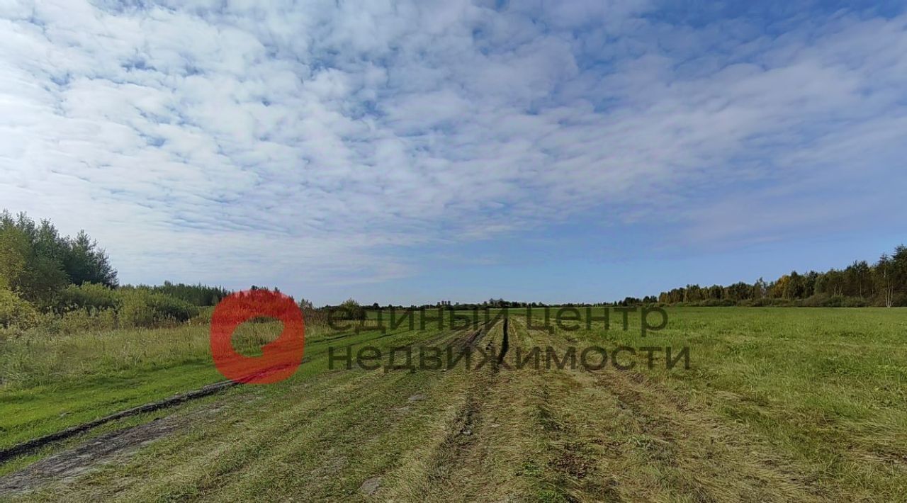 земля г Тюмень р-н Ленинский СОСН Агросад-Тюмень тер., 2-я линия, 104 фото 13