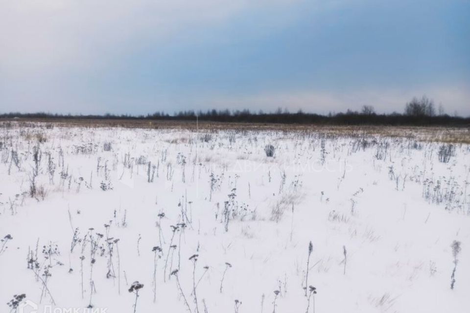 земля р-н Тюменский село Чикча фото 8