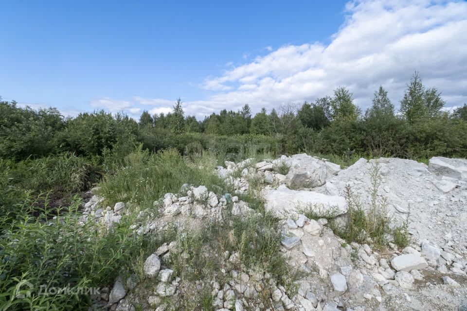 земля р-н Тюменский рп Боровский Фабричная Рассвет с/о, 1 фото 9