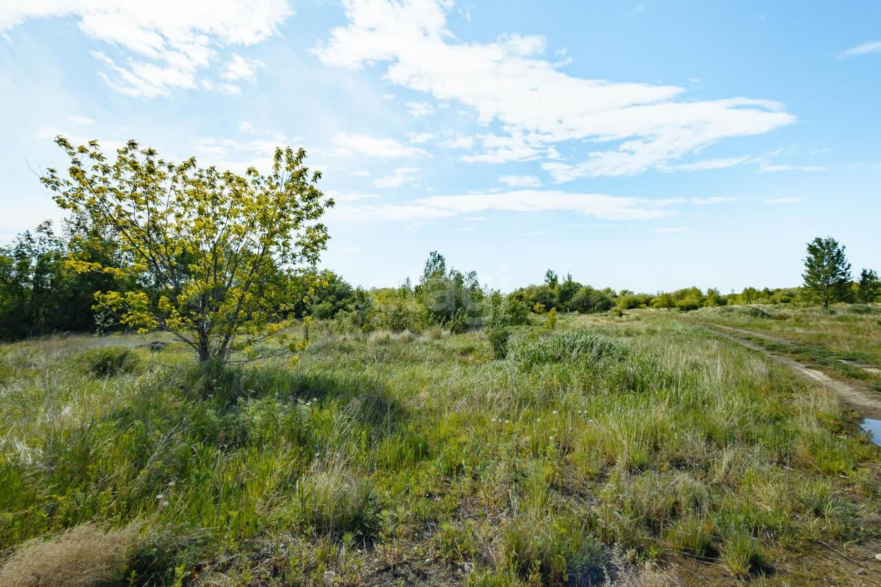 земля г Комсомольск-на-Амуре р-н Новый сельское поселение Село Новый Мир, Мир, Новокузнецкая улица, 24, Комсомольский район фото 3