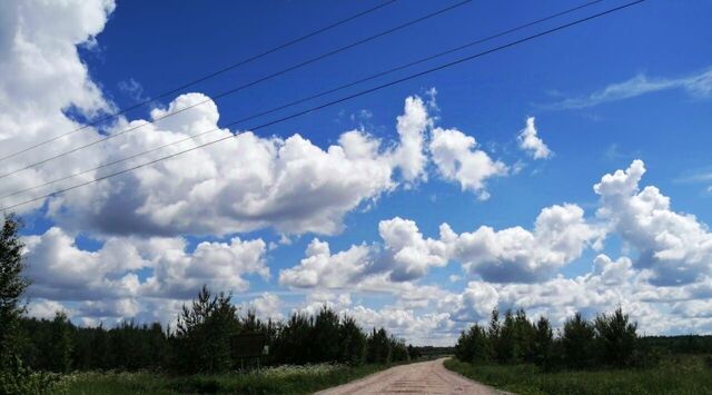 с пос, Некрасовское фото