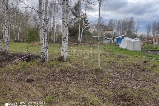 р-н Чкаловский Екатеринбург, СНТ УПИ-5, муниципальное образование фото