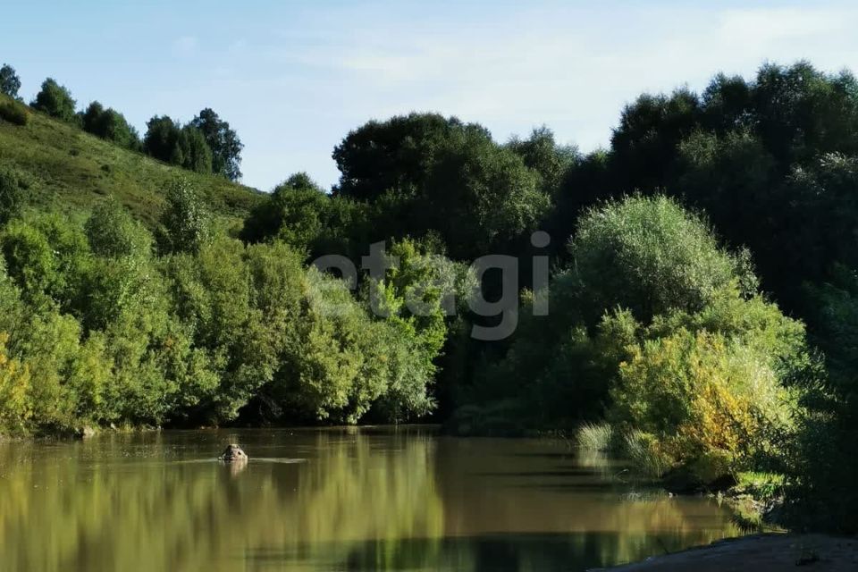 земля р-н Красногорский село Усть-Иша фото 4