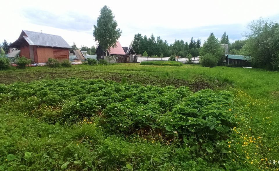 земля городской округ Сыктывкар, территория Эжвинский, СНТ Алёнушка фото 4