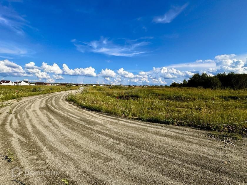 земля р-н Тюменский село Луговое фото 6