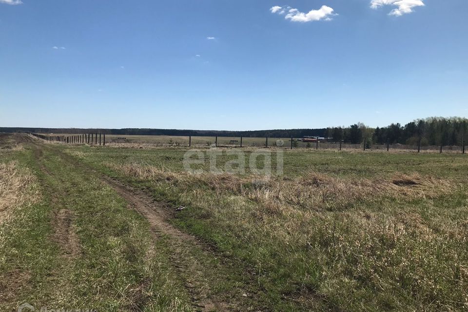 земля Алапаевское, муниципальное образование, посёлок Заря, Садовая улица фото 5