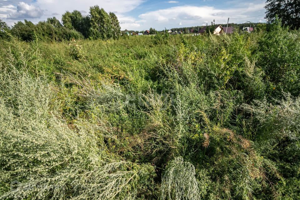 земля г Бердск снт Волна ул Береговая городской округ Бердск фото 8