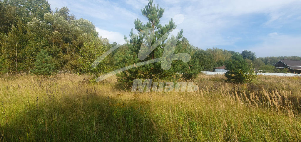 земля городской округ Раменский снт Гжель-3 Гжель-3 КП, КП Речная ул фото 8