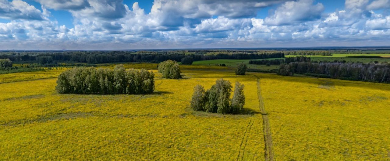 земля р-н Мошковский Фридом Вилладж кп фото 1