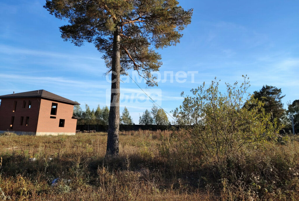 земля городской округ Ленинский д Суханово посёлок подсобного хозяйства Суханово Бутово фото 5