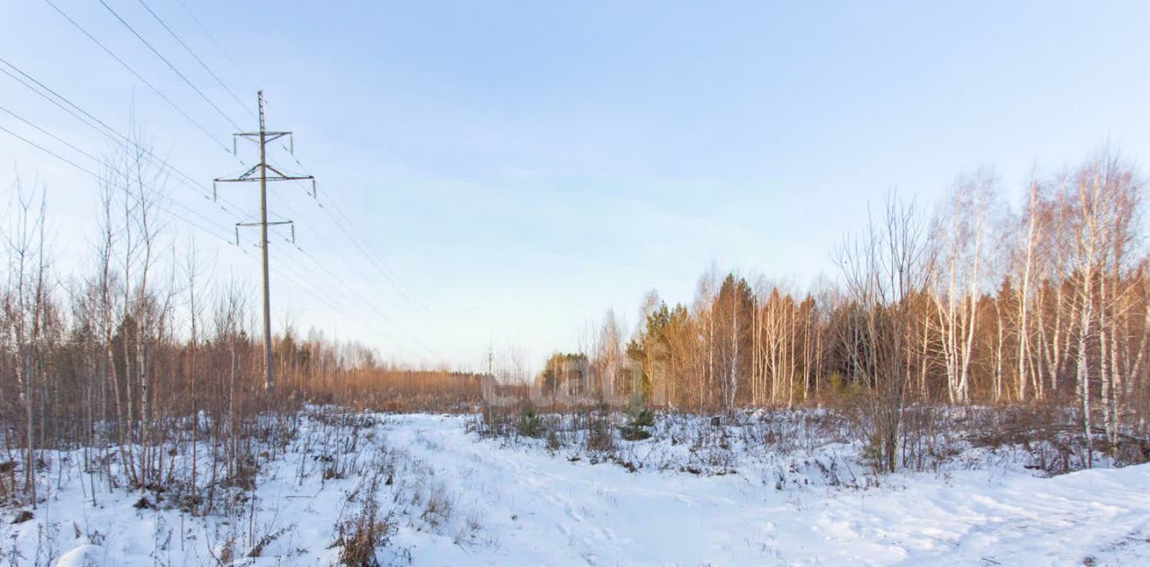 земля г Тобольск д Защитино фото 17