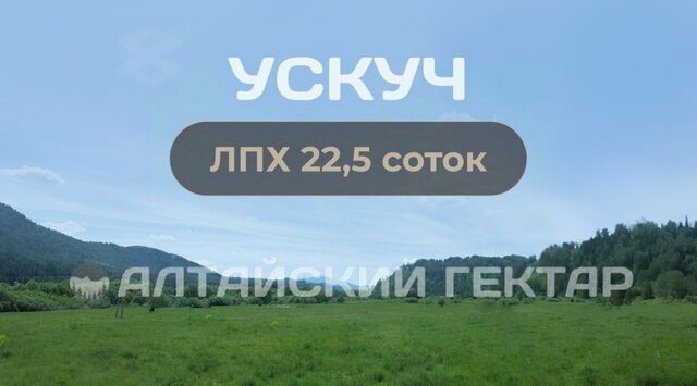 земля с Ускуч ул Лесная фото земля с Ускуч ул Лесная фото