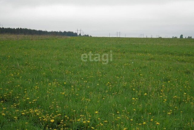 земля деревня Великое Село фото