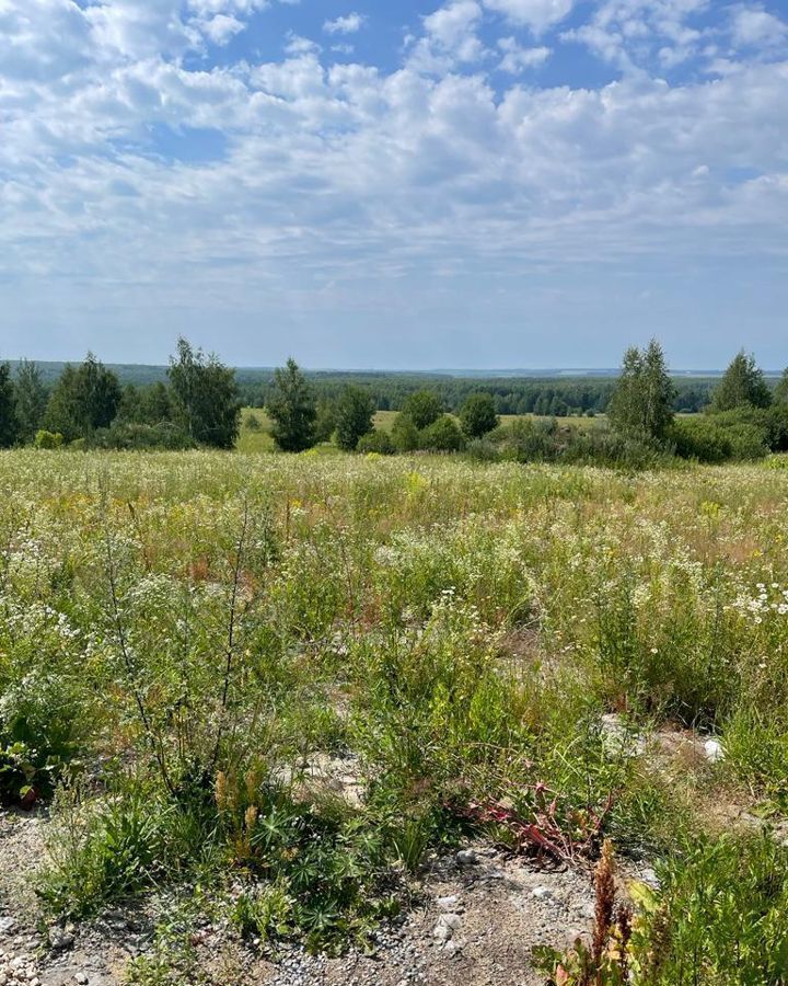 земля р-н Богородский с Афанасьево ул Полевая Богородск фото 2