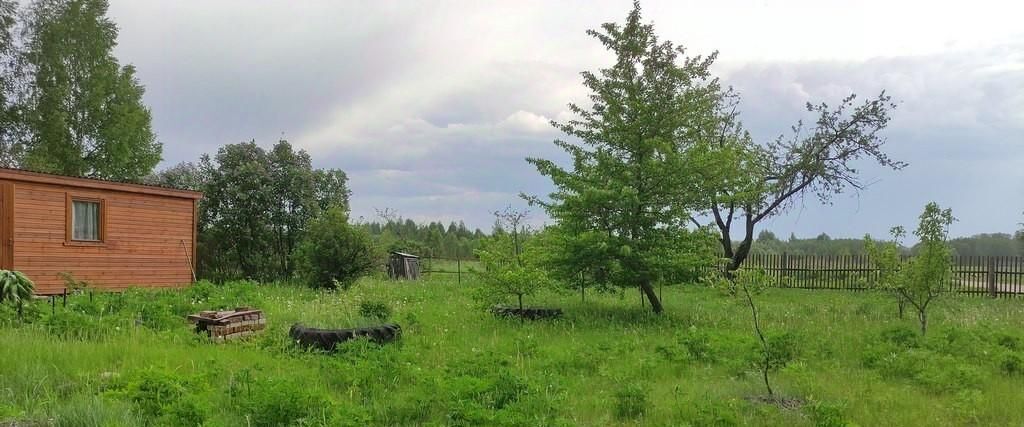 дом р-н Порховский д Уза д. Веретье Павский сельсовет фото 3