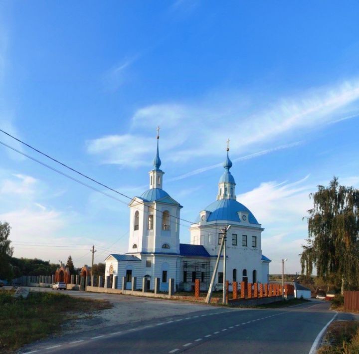 дом городской округ Кашира п Кокино ул. Центральная, 3 фото 34