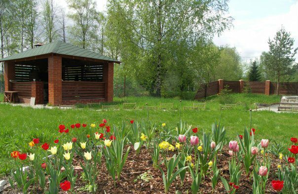 линия 3-я Большеижорское городское поселение, Большая Ижора, СНТ Парус фото