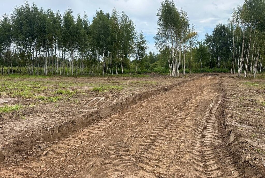 земля городской округ Дмитровский д Астрецово 44 фото 3