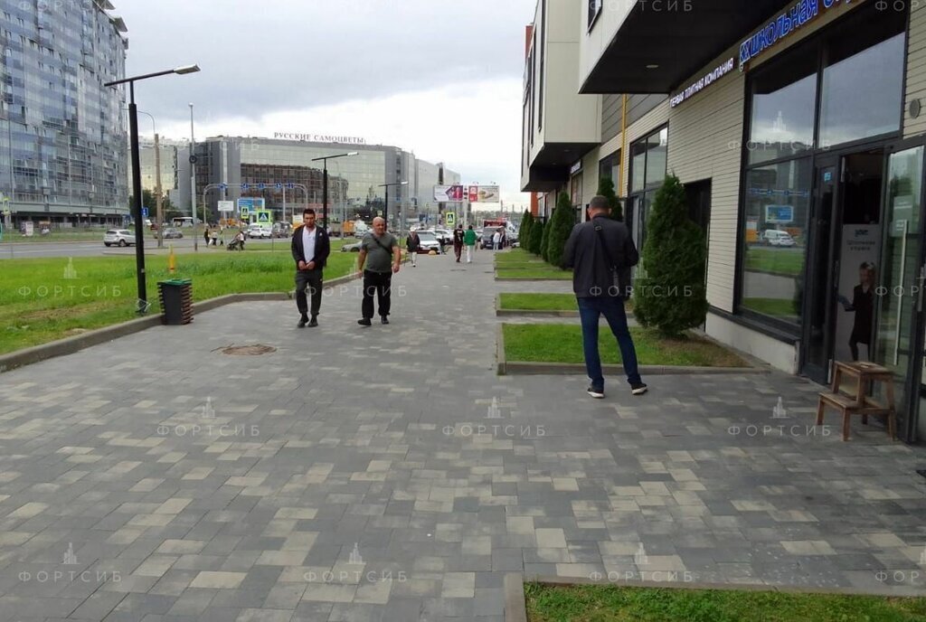 свободного назначения г Санкт-Петербург метро Ладожская пр-кт Заневский 65 округ Малая Охта фото 6