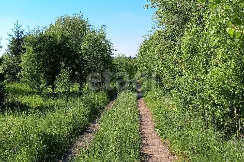 земля Добрянский городской округ, деревня Городище фото 5