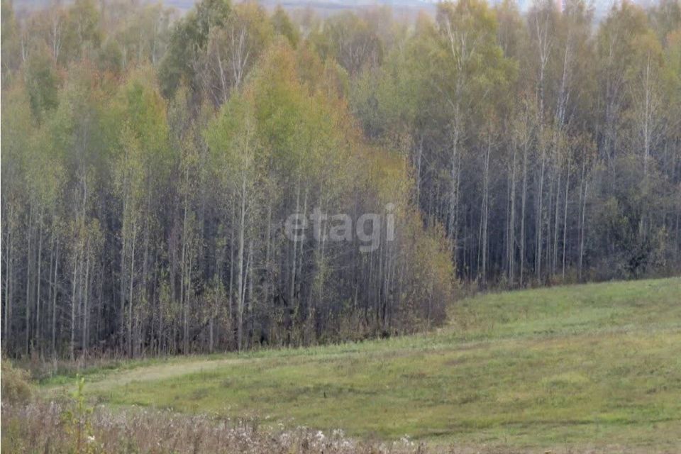 земля р-н Чемальский фото 7