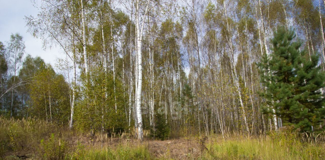 земля р-н Перемышльский с Ахлебинино сельское поселение Село Ахлебинино фото 4