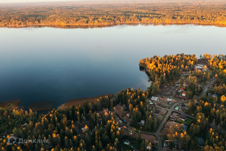 земля р-н Выборгский фото 1