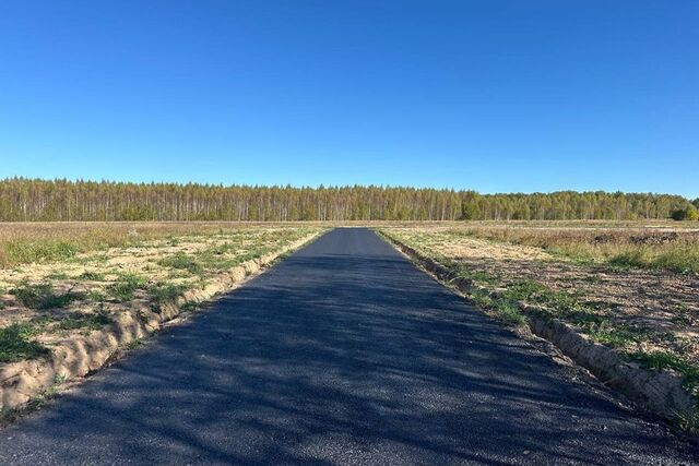 земля деревня Васильево фото