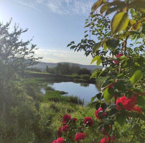 снт Дружба с пос, ул. Лесная, Добровское фото