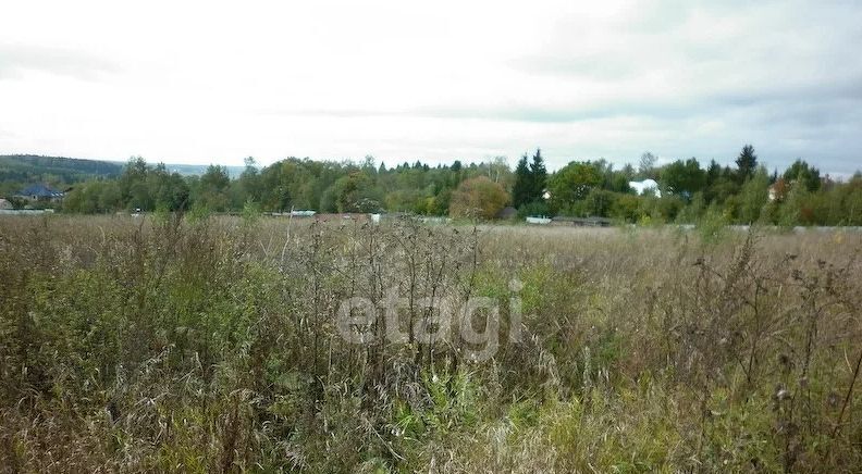 земля городской округ Ленинский с Молоково ул Ленина 69 Зябликово фото 4