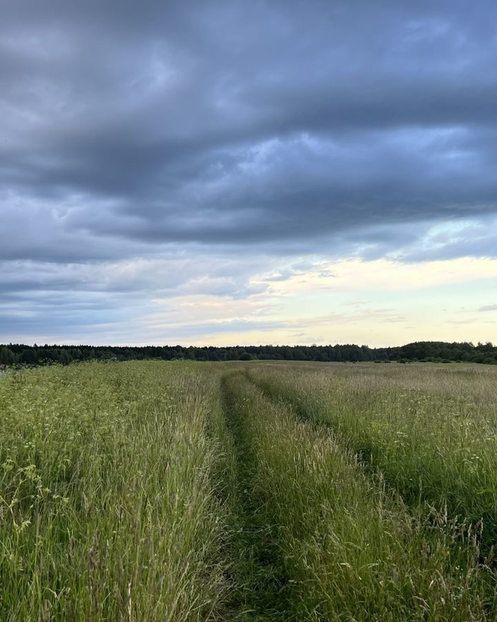 земля р-н Лодейнопольский д Харевщина Трасса Лодейное поле — Вытегра, Янегское сельское поселение, Лодейное Поле фото 11