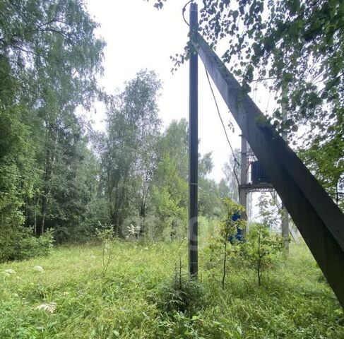 городской округ Дмитровский д Хорьяково фото