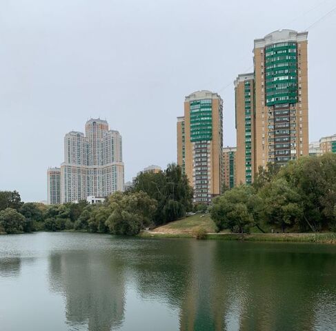 метро Царицыно проезд Загорьевский 3к/2 фото