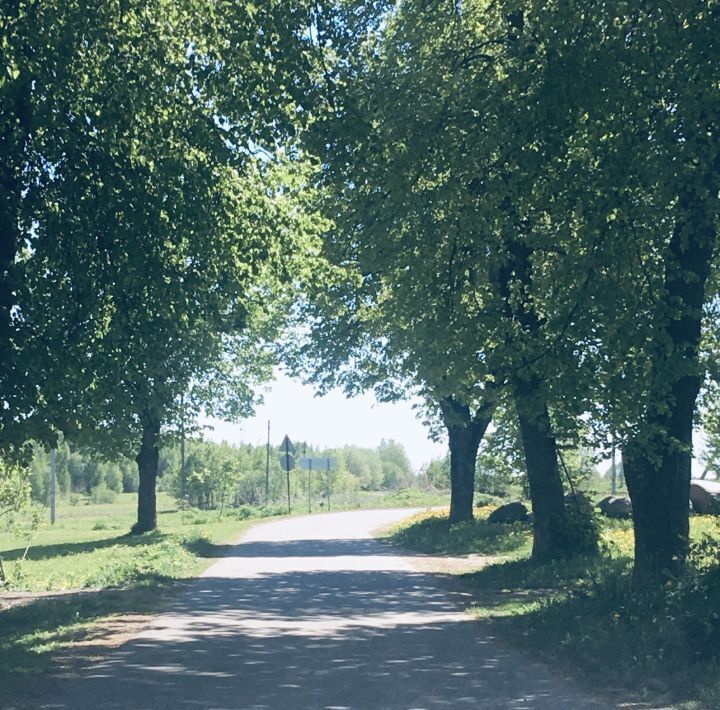 дом городской округ Сергиево-Посадский д Ильинки фото 6