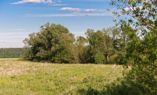 земля д Тимошкино ул Центральная 9742 км, Красногорск, Минское шоссе фото