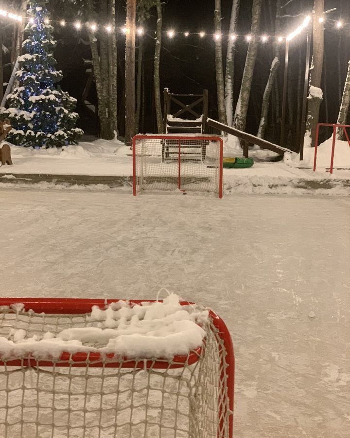 дом р-н Городецкий д. Большой Суходол, 3, Чкаловск фото 31