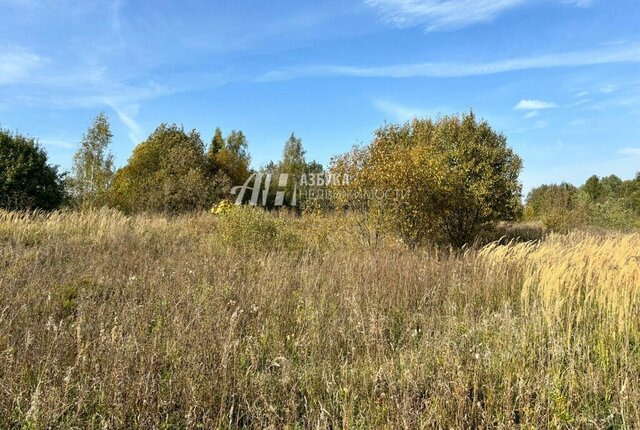 городской округ Истра д Никитское фото