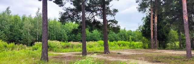 земля д Полтево Железнодорожная фото